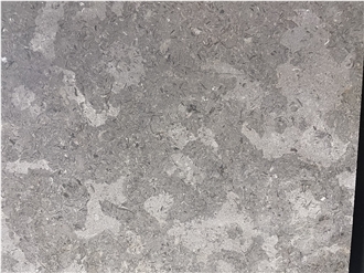 Fossil Gray Limestone Tiles
