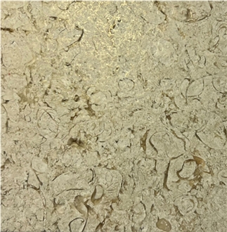 Archaean Century Limestone Slabs
