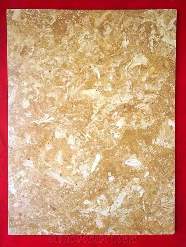 Flowery Gold Limestone Slab & Tiles