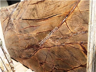 Rain Forest Brown Marble Slabs