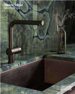 Vitoria Regia Quartzite Countertops