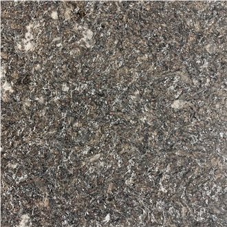 Alps Glitter Gneiss