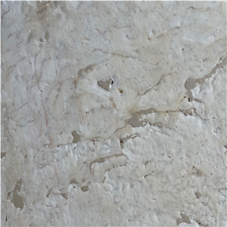 Caribbean Blond Coral Stone