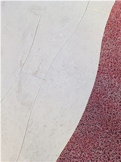 Shell Limestone Pattern Floor Tile