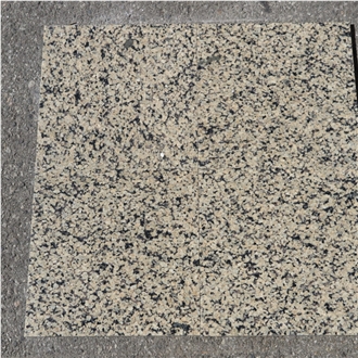 Tropical Gold Granite Slabs, India Yellow Granite
