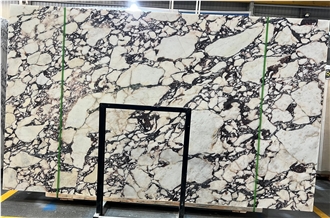 Calacatta Viola Italy Marble Slabs, Marble Tiles