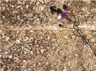 Borealis Limestone Tiles