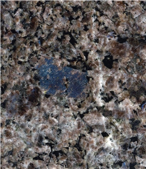 Arctic Brown Granite Polished Slabs And Tiles