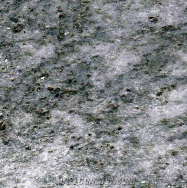 Verde Argento Gneiss Polished Tiles