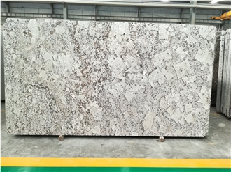 Cheap Quality-Ensured Cartus White Granite Slabs