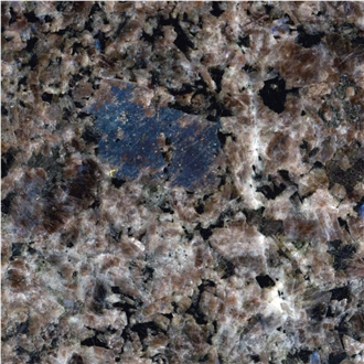 Artic Brown Granite