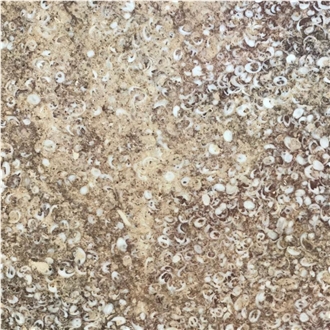 Borealis Limestone