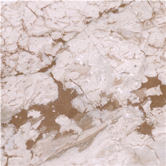 Camelia Beige