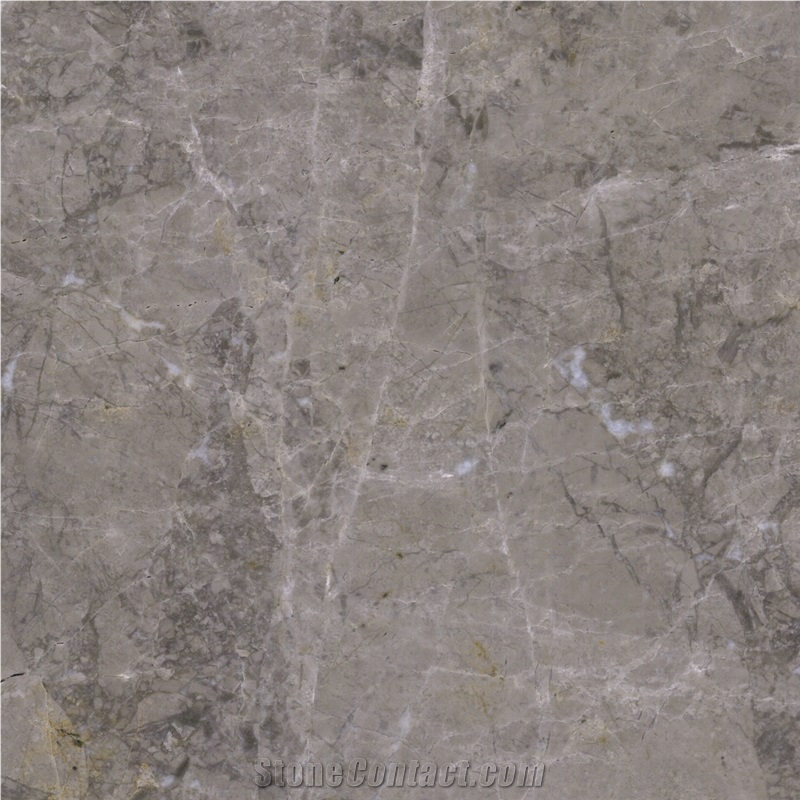 Grey Emperador Marble Tile