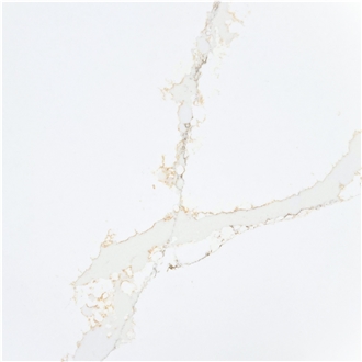 Arya Quartz Slabs