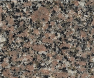 Rosa Hoody Granite