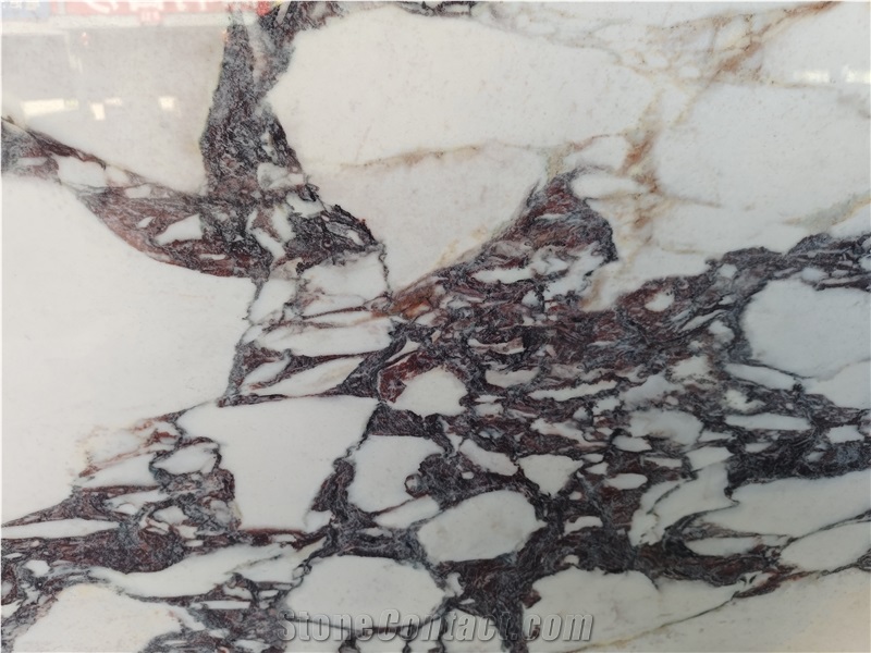 Calacatta Viola Sintered Stone Slabs from China