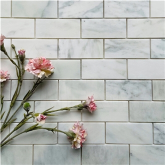 Marble Mosaic Mp-W-51