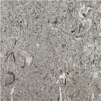 Aurisina Fioritello Limestone
