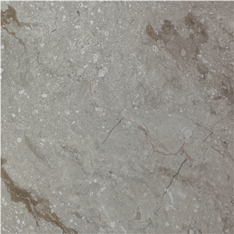 Pasha Beige Marble