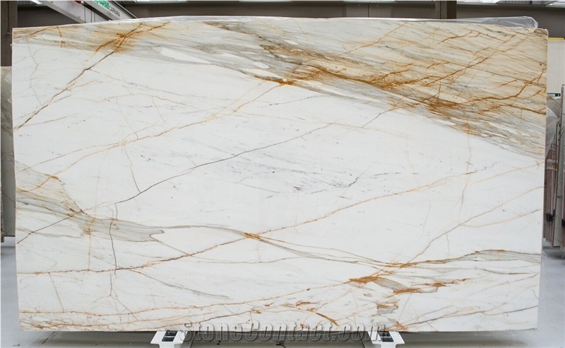 Calacatta Macchia Vecchia Marble Slabs