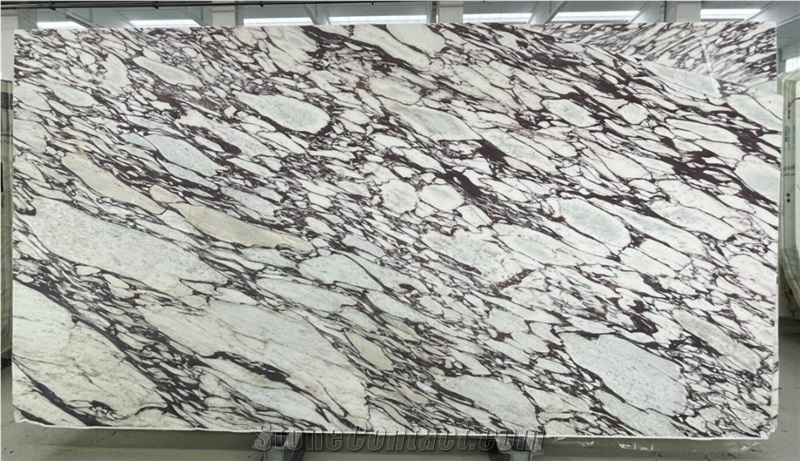 Calacatta Viola Marble Slabs