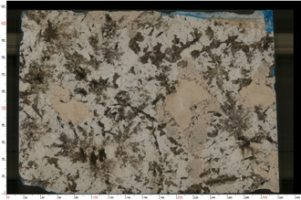 White Persa Granite Slabs