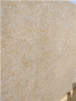 Sunny Menia Marble Tiles
