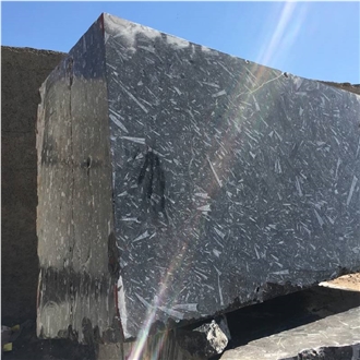 Devonian Fossil Black Marble Blocks