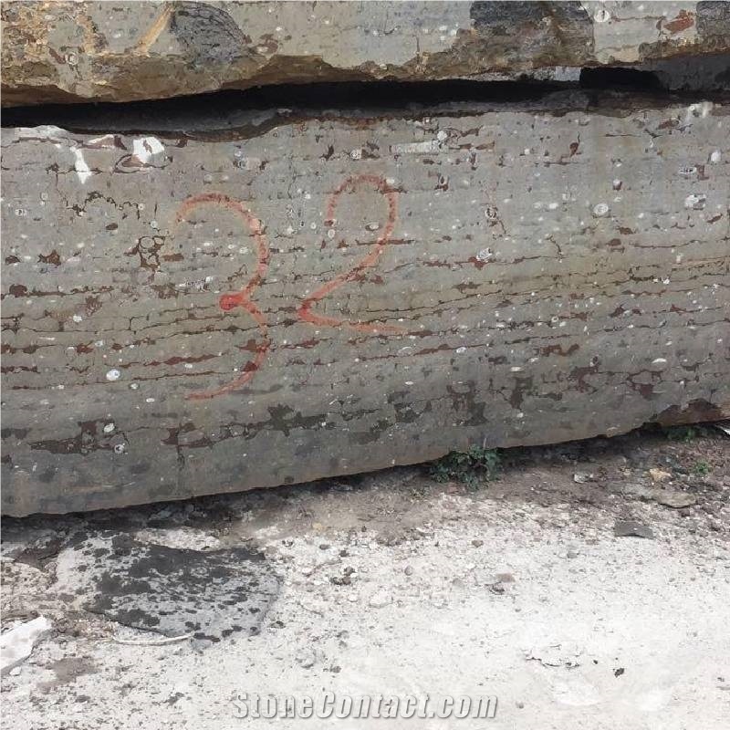 Devonian Fossil Brown Marble Blocks