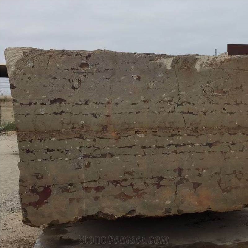 Devonian Fossil Brown Marble Blocks