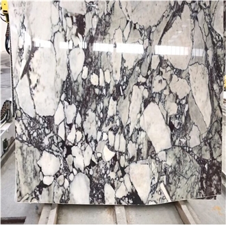 Calacatta Viola Marble Marble Slabs