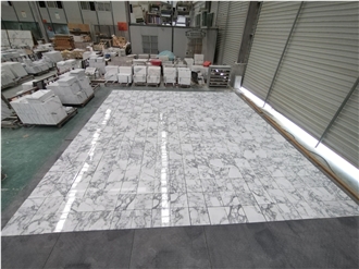 Pro-Grade Arabescato Marble Slabs Bulk Floor/Wall Solutions