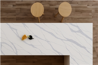 FQ 4025Calacatta Monaco Commercial Counters