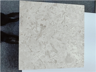 Gohare / Gohara Limestone Fossil Tiles