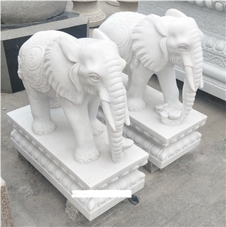Eastern White Marble