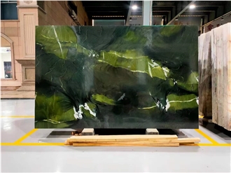 Vitoria Regia Quartzite Countertop Table Top