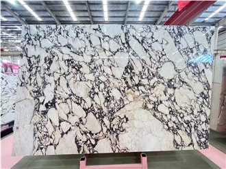 Italy Calacatta Viola Marble Slabs Tiles