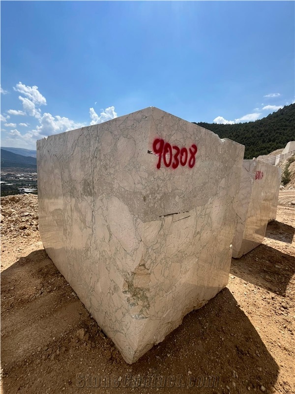 Breccia Avacado Marble Blocks