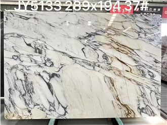 Italy Arabescato White Marble Slab For Cutting Wall Tiles