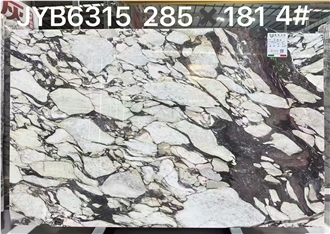 Italy Calacatta Viola Marble Slab For Cutting Wall Tiles