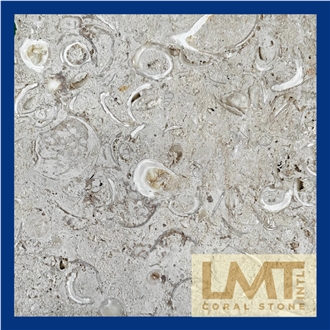 Coquiina Tiles