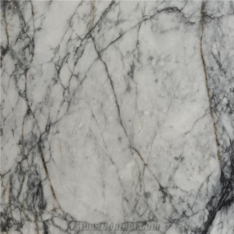Rhine White Marble Tile