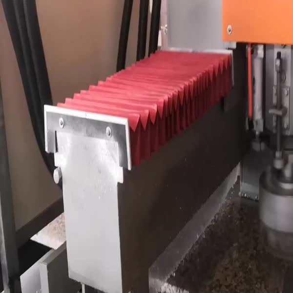 XL-6 Continuous Litchi Surface Machine