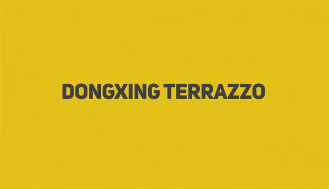 DXW201 Spring Garden Terrazzo White Big Slab Tile from China