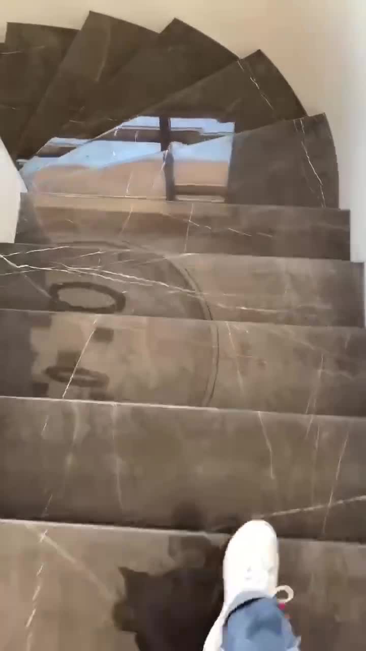 Stone  Spiral Staircase Marble Kenya Black Golden Vein Steps