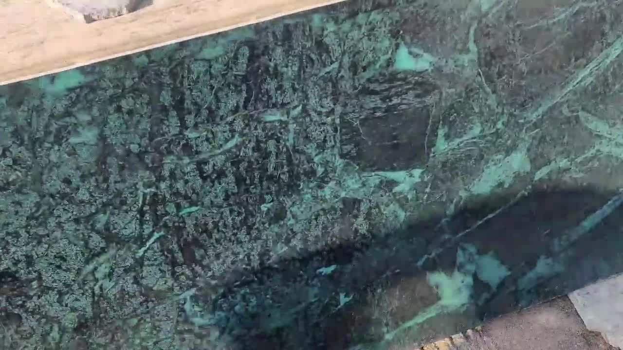 India Green Marble Slabs, Marble Tiles