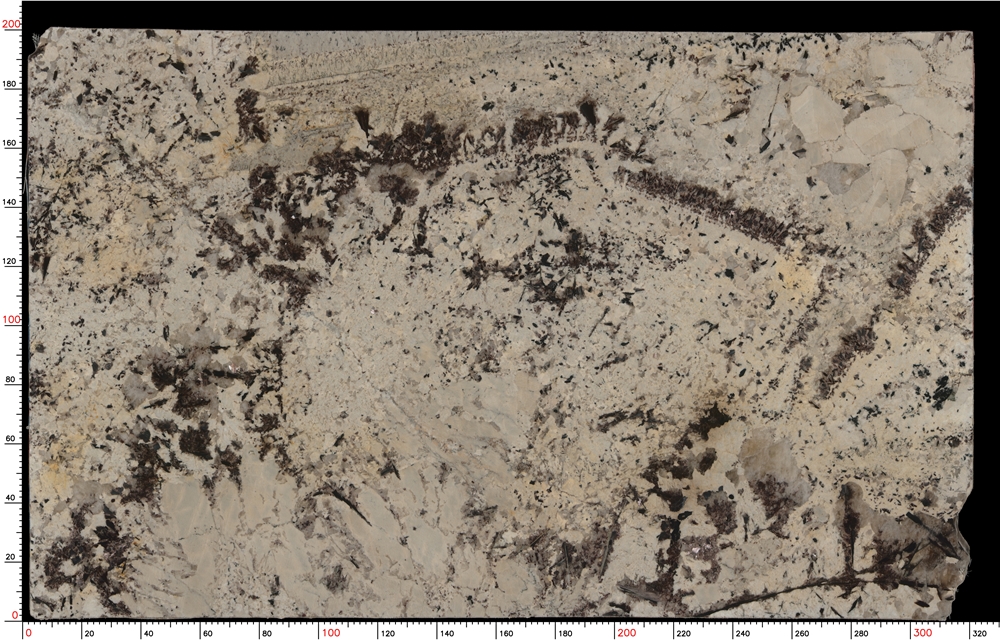Tile img