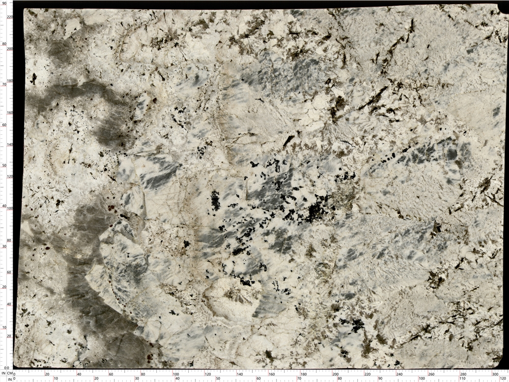 Silver Fox Granite Slabs