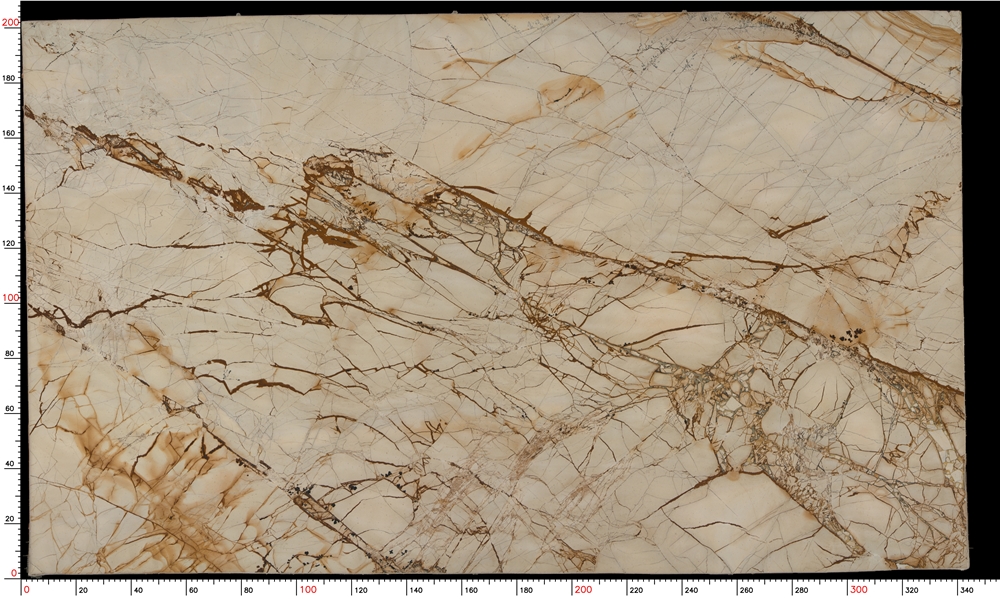 White Roma Quartzite Slabs : 205.669㎡ in stock